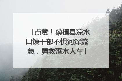 点赞！桑植县凉水口镇干部不惧河深流急，勇救落水人车