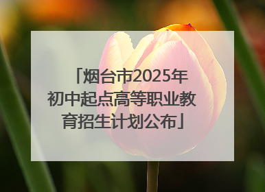 烟台市2025年初中起点高等职业教育招生计划公布