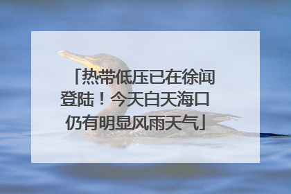 热带低压已在徐闻登陆！今天白天海口仍有明显风雨天气