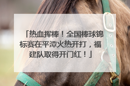 热血挥棒！全国棒球锦标赛在平潭火热开打，福建队取得开门红！