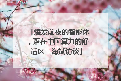 爆发前夜的智能体，落在中国算力的舒适区｜海斌访谈