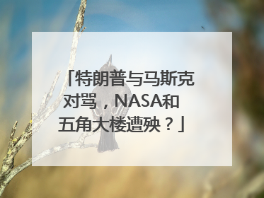 特朗普与马斯克对骂，NASA和五角大楼遭殃？