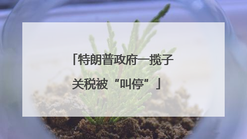 特朗普政府一揽子关税被“叫停”