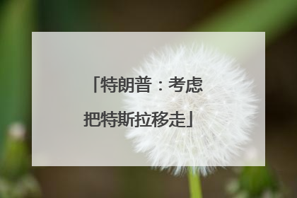 特朗普：考虑把特斯拉移走