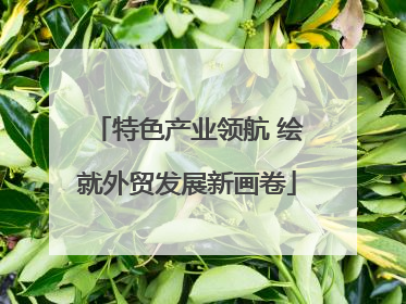 特色产业领航 绘就外贸发展新画卷