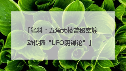 猛料：五角大楼曾秘密煽动传播“UFO阴谋论”