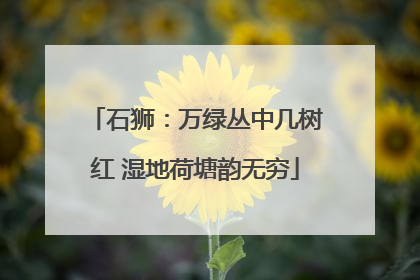 石狮：万绿丛中几树红 湿地荷塘韵无穷