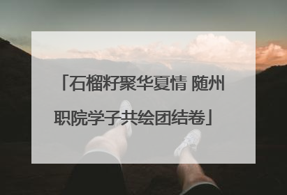 石榴籽聚华夏情 随州职院学子共绘团结卷