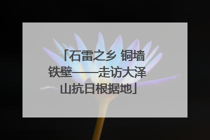 石雷之乡 铜墙铁壁——走访大泽山抗日根据地