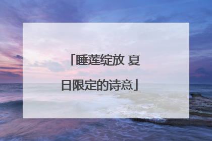 睡莲绽放 夏日限定的诗意