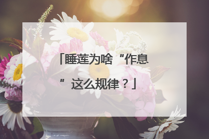 睡莲为啥“作息”这么规律？