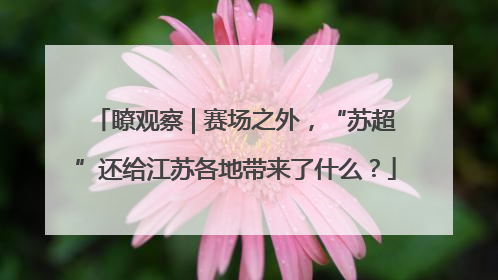瞭观察 | 赛场之外，“苏超”还给江苏各地带来了什么？