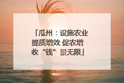 瓜州：设施农业提质增效 促农增收“钱”景无限