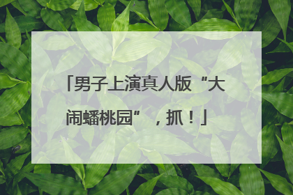 男子上演真人版“大闹蟠桃园”，抓！
