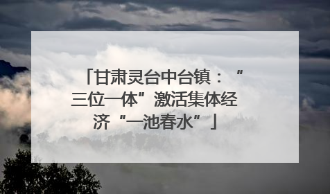甘肃灵台中台镇：“三位一体”激活集体经济“一池春水”