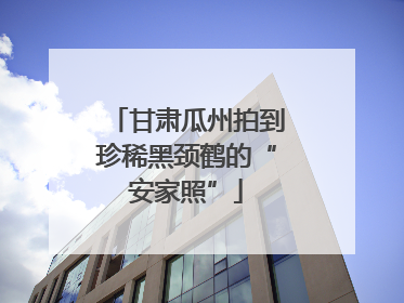 甘肃瓜州拍到珍稀黑颈鹤的“安家照”