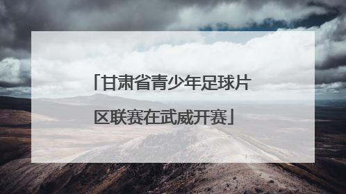 甘肃省青少年足球片区联赛在武威开赛