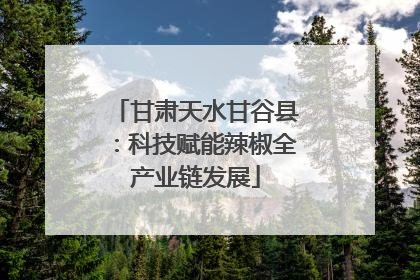 甘肃天水甘谷县：科技赋能辣椒全产业链发展
