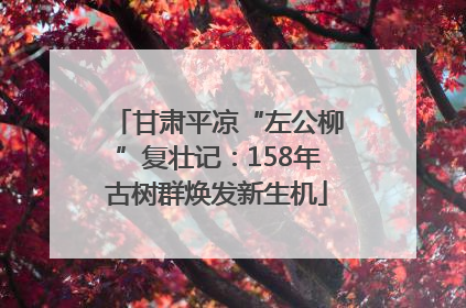 甘肃平凉“左公柳”复壮记：158年古树群焕发新生机