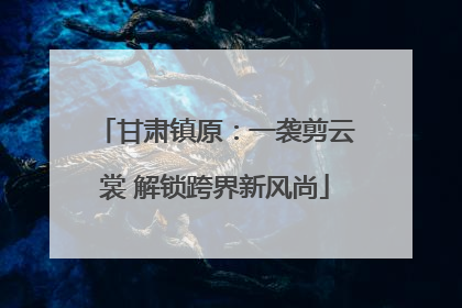 甘肃镇原：一袭剪云裳 解锁跨界新风尚