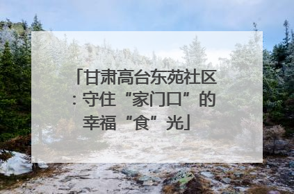 甘肃高台东苑社区：守住“家门口”的幸福“食”光