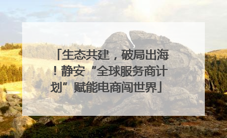 生态共建，破局出海！静安“全球服务商计划”赋能电商闯世界