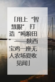 用上“智慧眼” 打造“吨粮田”——陕西宝鸡一座无人农场夏收见闻