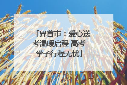 界首市：爱心送考温暖启程 高考学子行程无忧