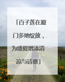 百子莲在厦门多地绽放，为盛夏增添清凉与诗意
