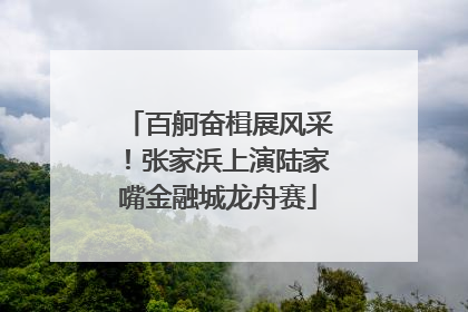 百舸奋楫展风采！张家浜上演陆家嘴金融城龙舟赛