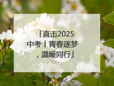 直击2025中考丨青春逐梦，温暖同行