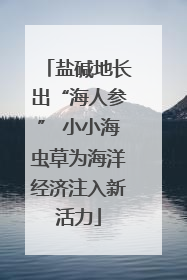 盐碱地长出“海人参” 小小海虫草为海洋经济注入新活力