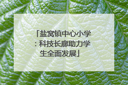 盐窝镇中心小学：科技长廊助力学生全面发展