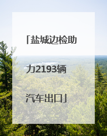 盐城边检助力2193辆汽车出口