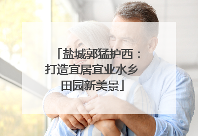 盐城郭猛护西：打造宜居宜业水乡田园新美景