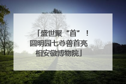 盛世聚“首”！圆明园七尊兽首亮相安徽博物院