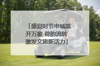 盛夏时节申城莲开万象 荷韵流转激发文旅新活力
