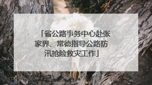 省公路事务中心赴张家界、常德指导公路防汛抢险救灾工作