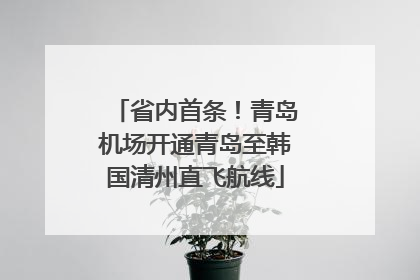 省内首条！青岛机场开通青岛至韩国清州直飞航线