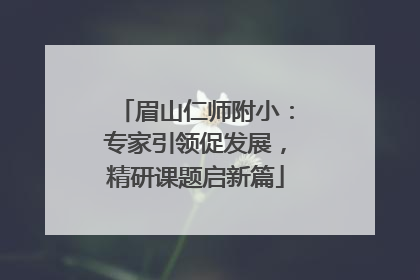 眉山仁师附小：专家引领促发展，精研课题启新篇