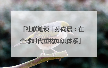 社联笔谈｜孙向晨：在全球时代重构知识体系