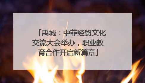 禹城：中菲经贸文化交流大会举办，职业教育合作开启新篇章