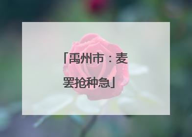 禹州市：麦罢抢种急