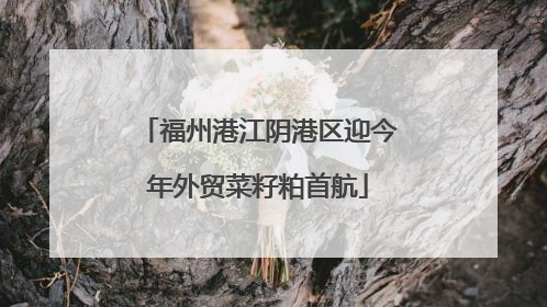 福州港江阴港区迎今年外贸菜籽粕首航