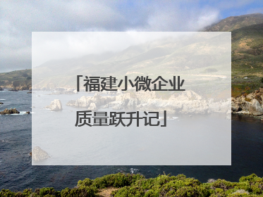 福建小微企业质量跃升记