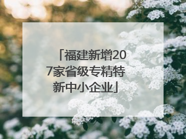 福建新增207家省级专精特新中小企业