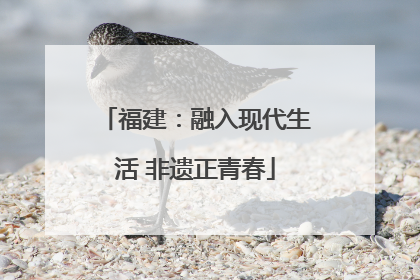 福建：融入现代生活 非遗正青春