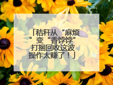 秸秆从“麻烦”变“香饽饽” 打捆回收这波操作太赚了！