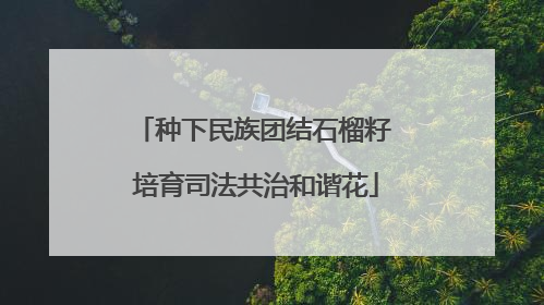 种下民族团结石榴籽 培育司法共治和谐花