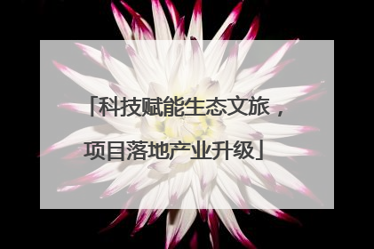 科技赋能生态文旅，项目落地产业升级